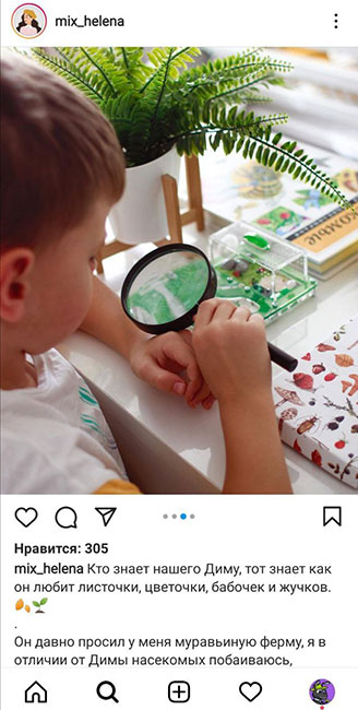 Отзыв о муравьиной ферме
