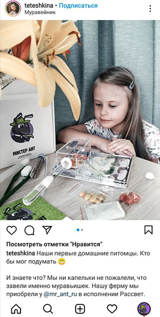 Отзыв о муравьиной ферме