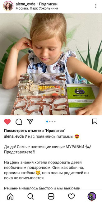 Отзыв о муравьиной ферме
